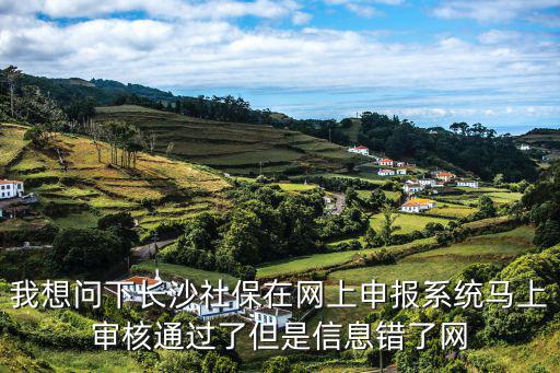 長沙社保12333，我想問下長沙社保在網(wǎng)上申報(bào)系統(tǒng)馬上審核通過了但是信息錯(cuò)了網(wǎng)