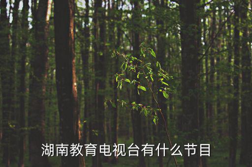湖南教育電視臺有什么節目