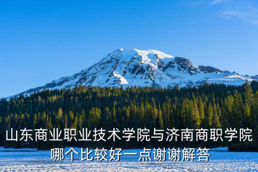 山東商業職業技術學院與濟南商職學院 哪個比較好一點謝謝解答
