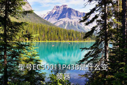型號EC50011P43B是什么變頻器