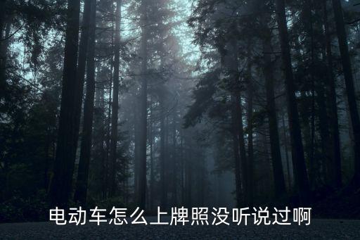 電動車怎么上牌照沒聽說過啊