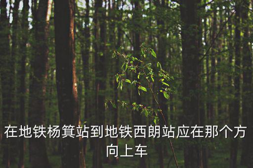 在地鐵楊箕站到地鐵西朗站應在那個方向上車