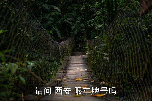 請問 西安 限車牌號嗎