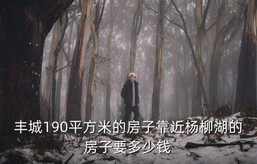 楊柳湖，豐城190平方米的房子靠近楊柳湖的房子要多少錢