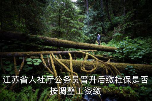 江蘇省人社廳公務員晉升后繳社保是否按調整工資繳
