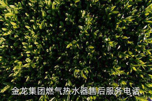 天然氣維修電話9559，金龍集團(tuán)燃?xì)鉄崴魇酆蠓?wù)電話