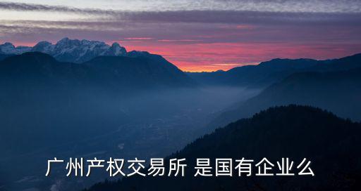 廣州產(chǎn)權(quán)交易所 是國有企業(yè)么