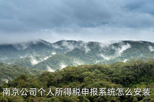 南京電子稅務局，南京工商局年檢取消了企業(yè)年報網上申報流程怎么操作