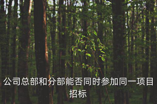 公司總部和分部能否同時參加同一項目招標