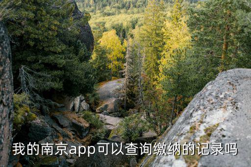 我的南京app可以查詢繳納的記錄嗎