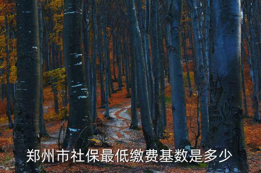 鄭州市社保最低繳費基數是多少