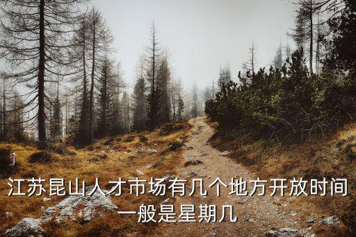 江蘇昆山人才市場(chǎng)有幾個(gè)地方開放時(shí)間一般是星期幾