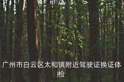 廣州市白云區太和鎮附近駕駛證換證體檢
