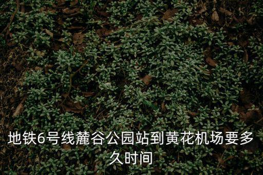 地鐵6號線麓谷公園站到黃花機場要多久時間
