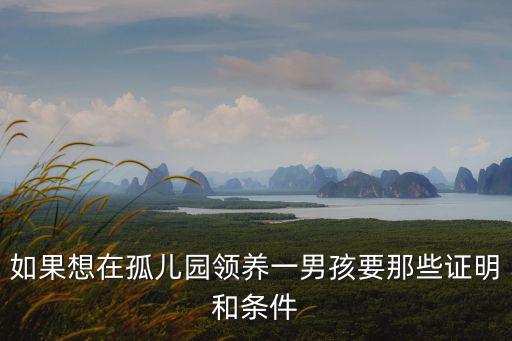 如果想在孤兒園領(lǐng)養(yǎng)一男孩要那些證明和條件