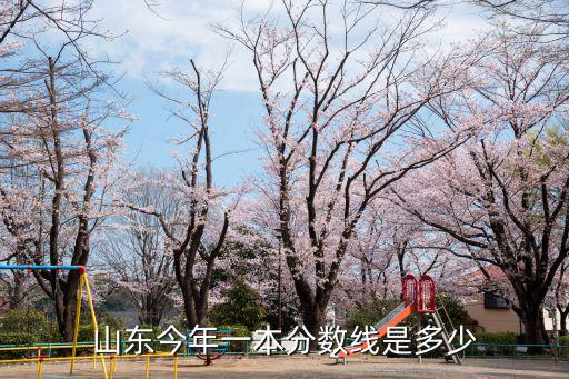 山東今年一本分?jǐn)?shù)線是多少