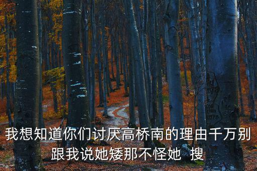 我想知道你們討厭高橋南的理由千萬別跟我說她矮那不怪她  搜