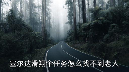 塞爾達滑翔傘任務怎么找不到老人