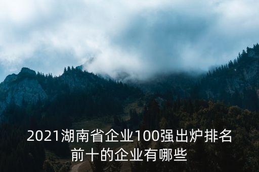 2021湖南省企業(yè)100強(qiáng)出爐排名前十的企業(yè)有哪些