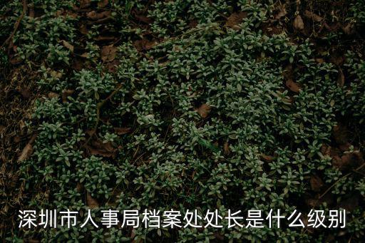 深圳市人事局，請問深圳市人事局調配處在哪里