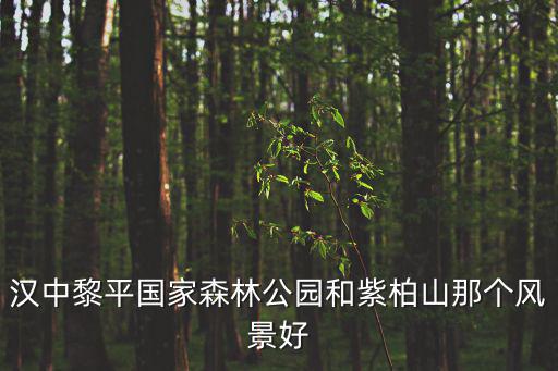 紫柏山國家森林公園，漢中黎平國家森林公園和紫柏山那個風景好