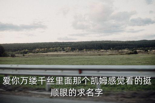 愛你萬縷千絲里面那個凱姆感覺看的挺順眼的求名字
