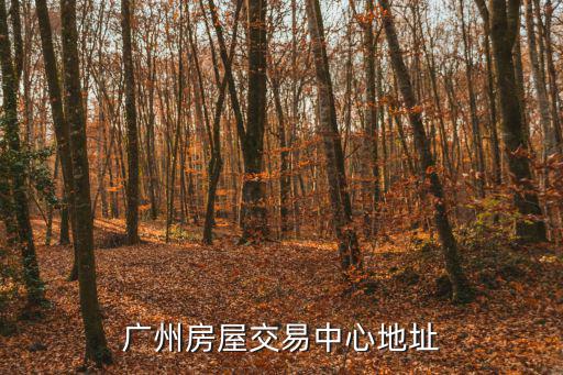 廣州房屋交易中心地址