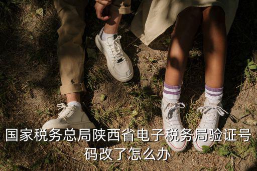 國家稅務總局陜西省電子稅務局驗證號碼改了怎么辦