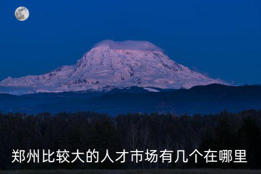 鄭州比較大的人才市場有幾個在哪里