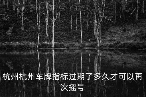 杭州杭州車牌指標過期了多久才可以再次搖號