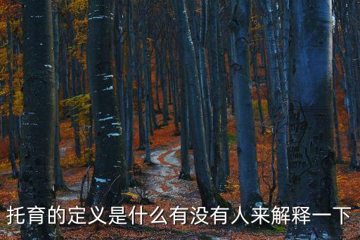 托育的定義是什么有沒有人來解釋一下