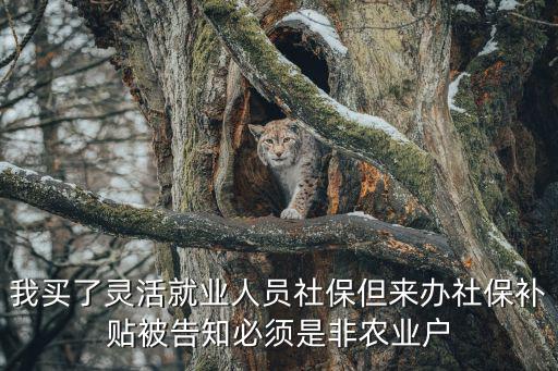 我買了靈活就業人員社保但來辦社保補貼被告知必須是非農業戶