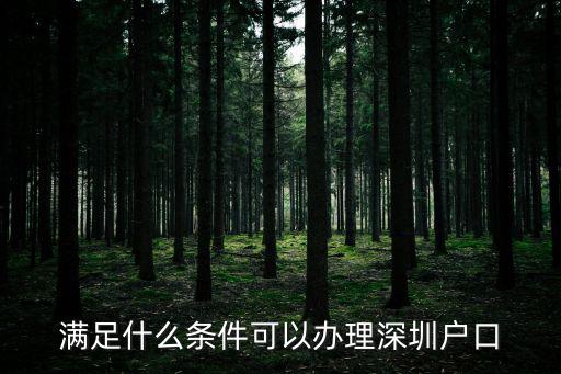 滿足什么條件可以辦理深圳戶口