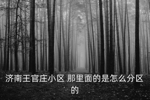 濟(jì)南王官莊小區(qū) 那里面的是怎么分區(qū)的