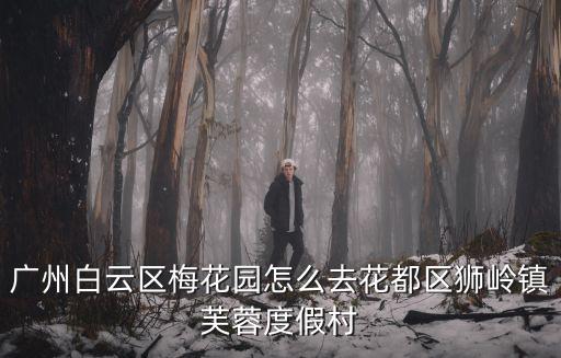 廣州白云區(qū)梅花園怎么去花都區(qū)獅嶺鎮(zhèn)芙蓉度假村