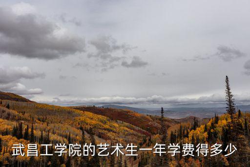 武昌工學(xué)院的藝術(shù)生一年學(xué)費得多少