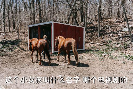 這個小女孩叫什么名字 哪個電視劇的
