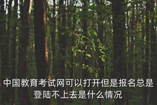 中國教育考試網可以打開但是報名總是登陸不上去是什么情況