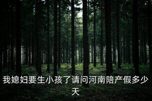 我媳婦要生小孩了請(qǐng)問(wèn)河南陪產(chǎn)假多少天