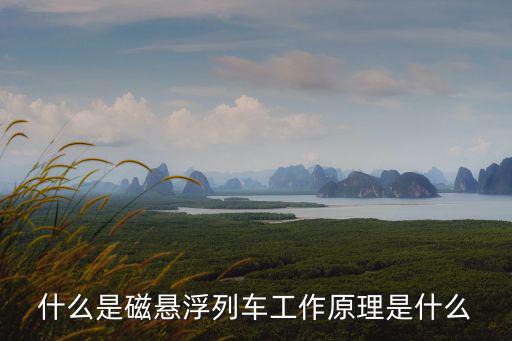 磁懸浮列車，中國目前運行的磁懸浮列車有那些