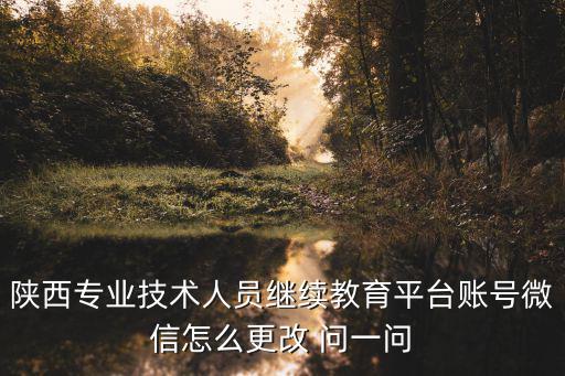 陜西專業(yè)技術(shù)人員繼續(xù)教育平臺賬號微信怎么更改 問一問