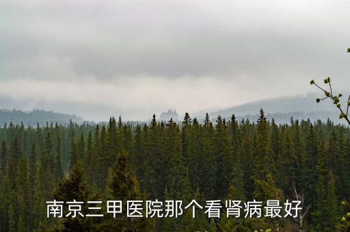 南京博大腎科醫(yī)院，最大的南京腎病?？漆t(yī)院