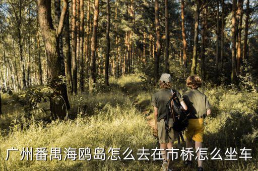 廣州番禺海鷗島怎么去在市橋怎么坐車