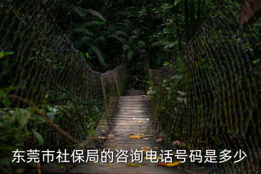 東莞市社保局的咨詢電話號(hào)碼是多少