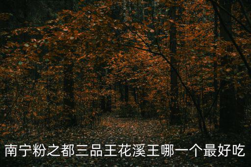 南寧粉之都三品王花溪王哪一個最好吃