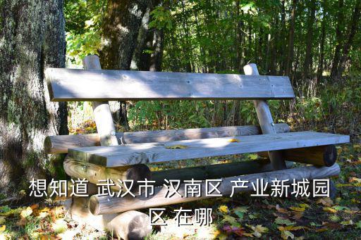 想知道 武漢市 漢南區(qū) 產(chǎn)業(yè)新城園區(qū) 在哪