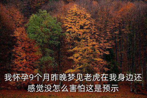 我懷孕9個(gè)月昨晚夢見老虎在我身邊還感覺沒怎么害怕這是預(yù)示