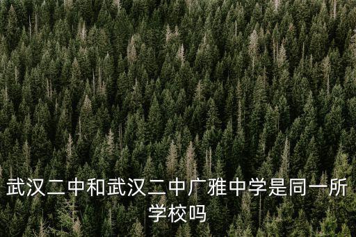 武漢二中和武漢二中廣雅中學(xué)是同一所學(xué)校嗎