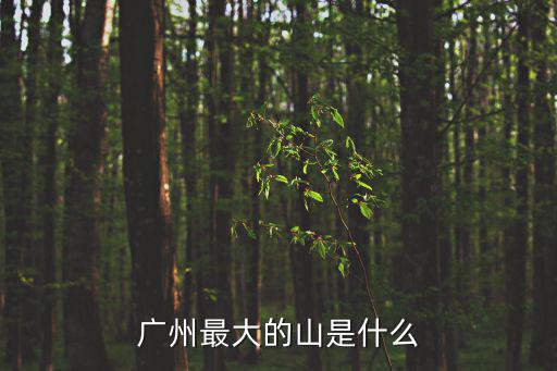 廣州最高的山，廣州市什么山最高