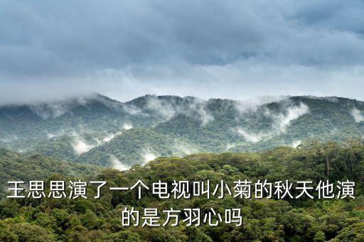 王思思演了一個(gè)電視叫小菊的秋天他演的是方羽心嗎